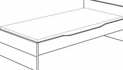 Best PAIDI Liege FIONA