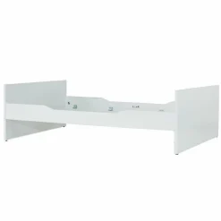 New PAIDI Liege FIONA