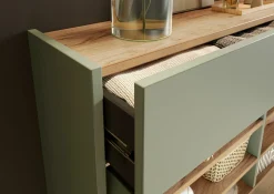 GERMANIA Mehrzweckschrank AMECA