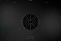 Sonstige Muldenlüfter Induktion Bora