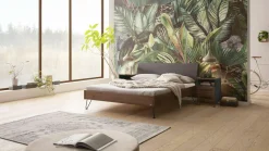 HASENA Nachtkommode DOWE