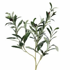 Outlet DPI Olivenzweig grün