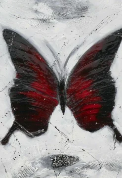 Hot Sonstige Originalbild BUTTERFLY RED