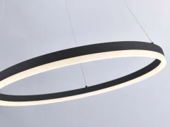 Best Paul Neuhaus Pendelleuchte