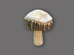 Sonstige Pilz mit Rinde