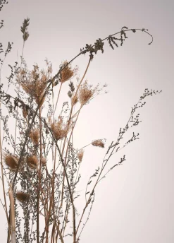 Best Sonstige Posterboard 1617