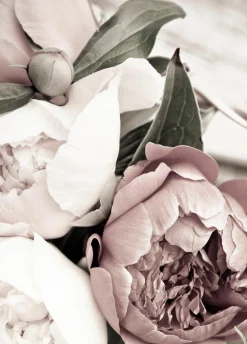 Sonstige Posterboard OPLULENT 1