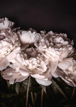 Sale Sonstige Posterboard SIGMA 2