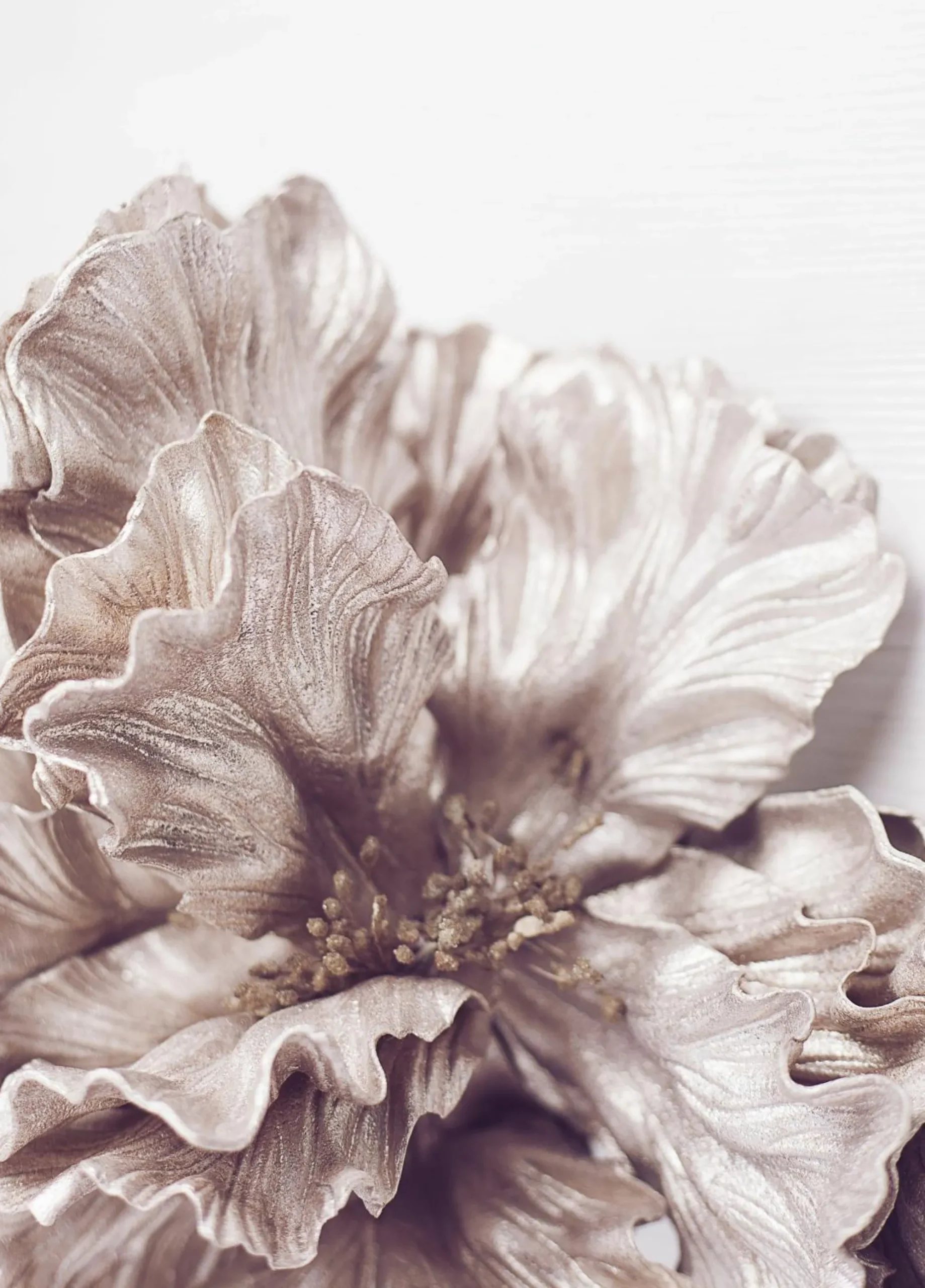 Sonstige Posterboard SIGMA 1