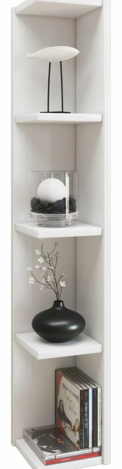 VCM Regal Honsa-Stand