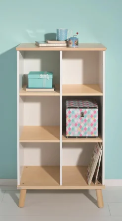 New PAIDI Regal YLVIE