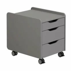 New PAIDI Rollcontainer 3S