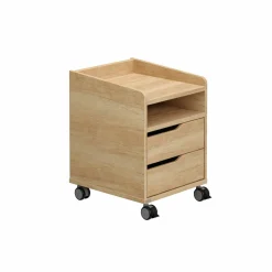 New PAIDI Rollcontainer 2S