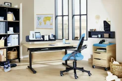 New PAIDI Rollcontainer 2S