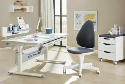 PAIDI Rollcontainer 2S