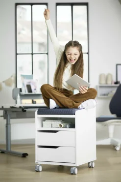 PAIDI Rollcontainer 2S