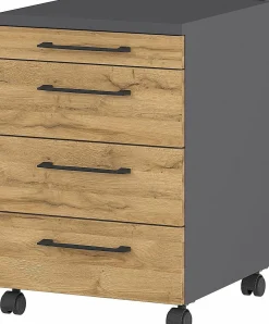 GERMANIA Rollcontainer PROFI 2.0