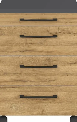 GERMANIA Rollcontainer PROFI 2.0