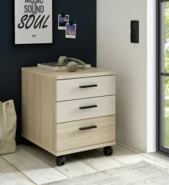 vito Rollcontainer ASSUME