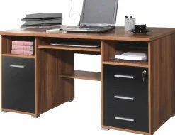 GERMANIA Schreibtisch 0484