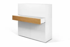 TEMAHOME Schreibtisch FOCUS