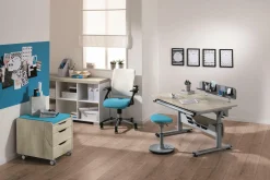 PAIDI Schreibtisch DIEGO 120