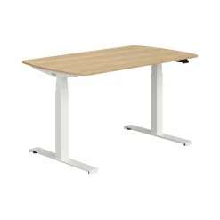 Best PAIDI Schreibtisch E-LION