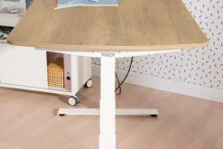 Best PAIDI Schreibtisch E-LION