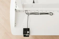 Best PAIDI Schreibtisch E-LION