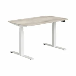 PAIDI Schreibtisch E-LION