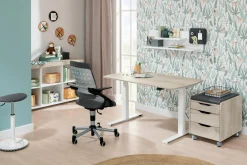 PAIDI Schreibtisch E-LION