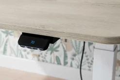 PAIDI Schreibtisch E-LION