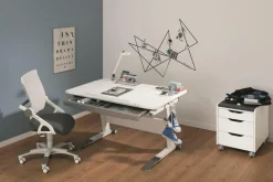 PAIDI Schreibtisch JARO