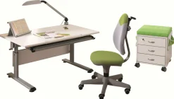 Hot PAIDI Schreibtisch MARCO