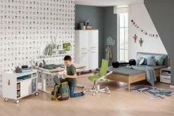 PAIDI Schreibtisch TEENIO 120