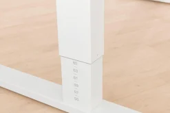 PAIDI Schreibtisch TEENIO 120