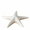 Sonstige Seestern SHELBY