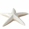 Sonstige Seestern SHELBY