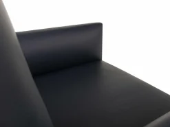 ROLF BENZ Sessel CARA