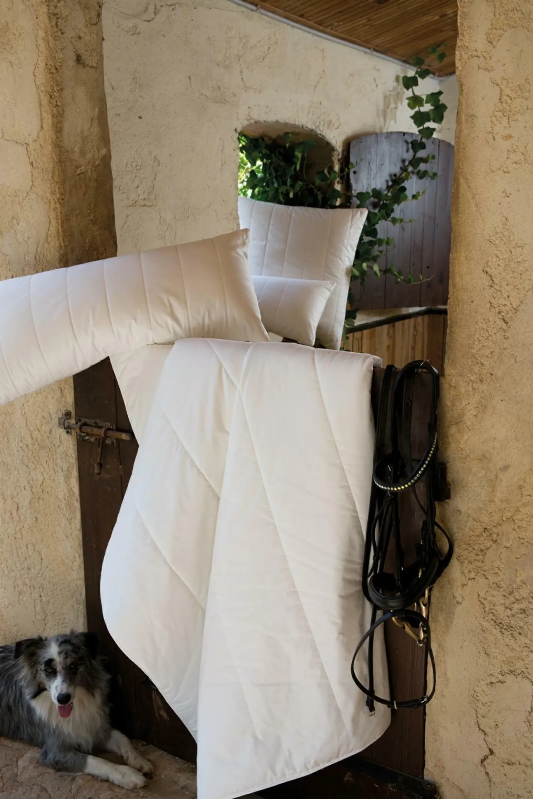 CENTA-STAR Sommerbett ORGANIC COTTON