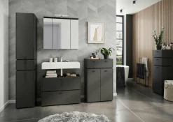 Online HARPER Spiegelschrank GIFU