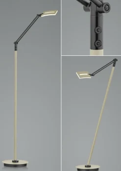 HELL Stehleuchte EVOLO