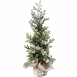 Sonstige Tannenbaum