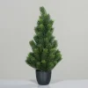 DPI Tannenbaum