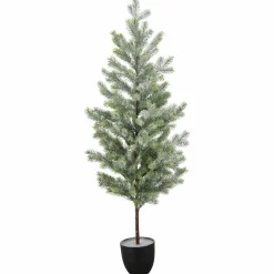 Clearance GASPER Tannenbaum