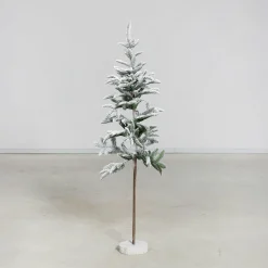 DPI Tannenbaum