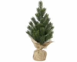 Sonstige Tannenbaum