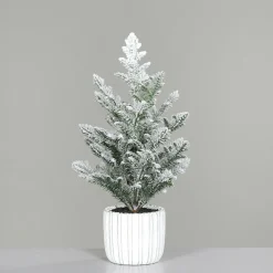 DPI Tannenbaum