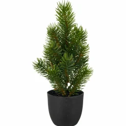 Clearance GASPER Tannenbaum