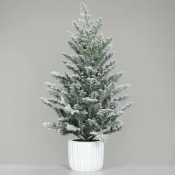Clearance DPI Tannenbaum